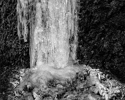 Multnomah Falls Ice 15-5660 bw